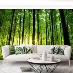 tulup.si Fototapeta Green forest Samolepilne 104x70 cm