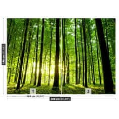 tulup.si Fototapeta Green forest Tapeta 208x146 cm