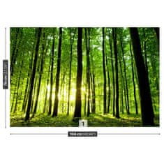 tulup.si Fototapeta Green forest Samolepilne 104x70 cm