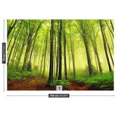 tulup.si Fototapeta Megla forest Samolepilne 104x70 cm