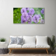 tulup.si Slika na akrilnem steklu Purple travnik flowers 100x50 cm 2 obešalnika