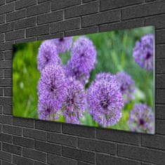 tulup.si Slika na akrilnem steklu Purple travnik flowers 100x50 cm 2 obešalnika