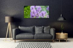 tulup.si Slika na akrilnem steklu Purple travnik flowers 100x50 cm 2 obešalnika