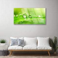 tulup.si Slika na akrilnem steklu Rastlina leaf dew drops 100x50 cm 2 obešalnika