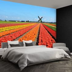 tulup.si Fototapeta Windmill tulipani Tapeta 104x70 cm