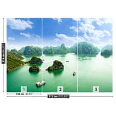 tulup.si Fototapeta Bay v vietnamu Tapeta 312x219 cm