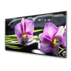 tulup.si Slika na akrilnem steklu Orchid zen spa stones 100x50 cm 2 obešalnika