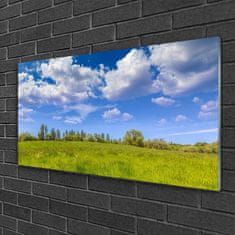 tulup.si Slika na akrilnem steklu Travnik grass heaven landscape 100x50 cm 4 obešalnika