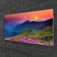 tulup.si Slika na akrilnem steklu Mountain travnik flowers landscape 100x50 cm 4 obešalnika