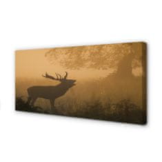 tulup.si Slika na platnu Deer sunrise 120x60 cm