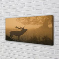 tulup.si Slika na platnu Deer sunrise 120x60 cm