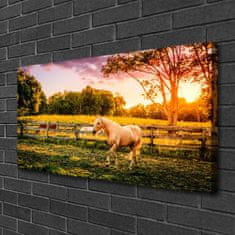 tulup.si Slika na platnu Horse meadow narava živali 100x50 cm