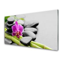 tulup.si Slika na akrilnem steklu Flower bamboo stones art 100x50 cm 2 obešalnika