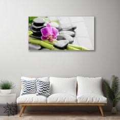 tulup.si Slika na akrilnem steklu Flower bamboo stones art 100x50 cm 2 obešalnika