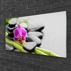 tulup.si Slika na akrilnem steklu Flower bamboo stones art 100x50 cm 2 obešalnika