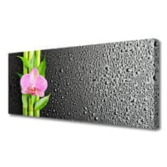 tulup.si Slika na platnu Bambus stem flower rastlin 125x50 cm