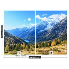 tulup.si Fototapeta Alpe gore Tapeta 208x146 cm