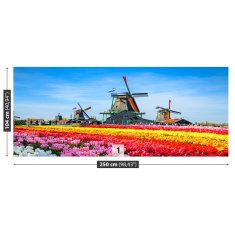 tulup.si Fototapeta Tulipani mlini na veter Samolepilne 250x104 cm