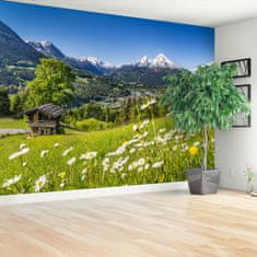 tulup.si Fototapeta Bayern vrh Samolepilne 208x146 cm