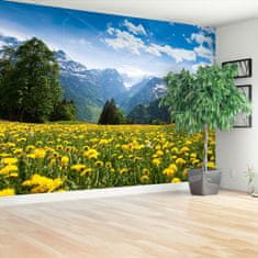 tulup.si Fototapeta Regrat mountains Tapeta 208x146 cm