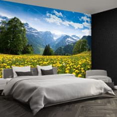 tulup.si Fototapeta Regrat mountains Tapeta 208x146 cm