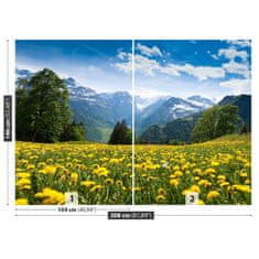 tulup.si Fototapeta Regrat mountains Tapeta 208x146 cm