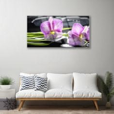 tulup.si Slika na akrilnem steklu Orchid zen spa stones 100x50 cm 2 obešalnika