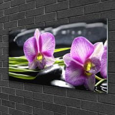 tulup.si Slika na akrilnem steklu Orchid zen spa stones 100x50 cm 2 obešalnika