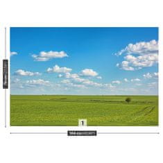 tulup.si Fototapeta Travnik sky Tapeta 104x70 cm