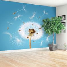 tulup.si Fototapeta Dandelion Samolepilne 104x70 cm