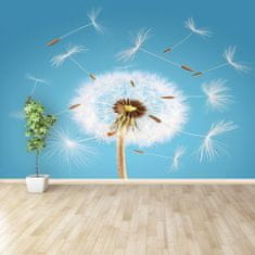 tulup.si Fototapeta Dandelion Samolepilne 104x70 cm