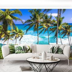 tulup.si Fototapeta Palm beach Samolepilne 250x104 cm