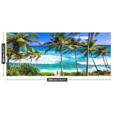 tulup.si Fototapeta Palm beach Samolepilne 250x104 cm