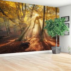 tulup.si Fototapeta Magic forest Samolepilne 104x70 cm