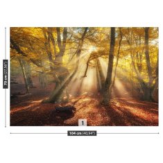 tulup.si Fototapeta Magic forest Samolepilne 104x70 cm