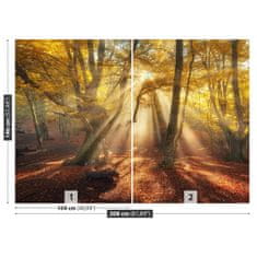 tulup.si Fototapeta Magic forest Tapeta 208x146 cm