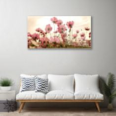 tulup.si Slika na akrilnem steklu Cvetje wildflowers travnik narava 120x60 cm 4 obešalnika