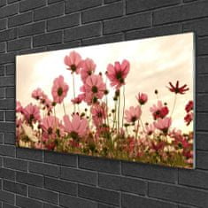 tulup.si Slika na akrilnem steklu Cvetje wildflowers travnik narava 120x60 cm 4 obešalnika