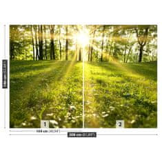 tulup.si Fototapeta Gozd sonce Samolepilne 208x146 cm