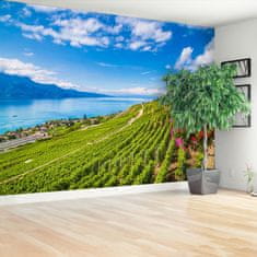 tulup.si Fototapeta Vinogradi terase Tapeta 208x146 cm