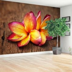 tulup.si Stenska fototapeta Plumeria wood Samolepilne 416x254 cm