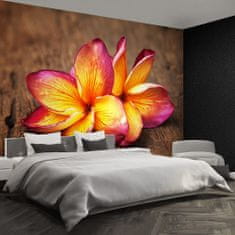 tulup.si Stenska fototapeta Plumeria wood Samolepilne 416x254 cm