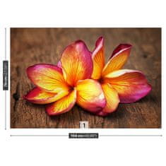 tulup.si Stenska fototapeta Plumeria wood Tapeta 104x70 cm