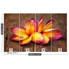 tulup.si Stenska fototapeta Plumeria wood Samolepilne 416x254 cm