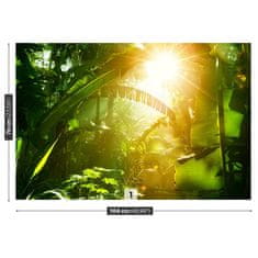 tulup.si Fototapeta Jungle v vietnamu Samolepilne 104x70 cm