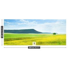 tulup.si Fototapeta Pomlad travnik Tapeta 250x104 cm