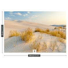 tulup.si Fototapeta Baltsko morje dunes Samolepilne 104x70 cm