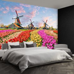 tulup.si Fototapeta Tulipani mlini na veter Tapeta 208x146 cm