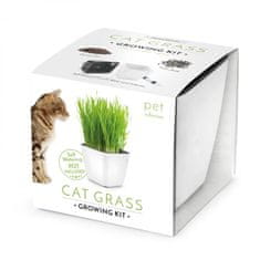 Domestico GROW YOUR CAT TRAIL, darilni set s samovlažilnim loncem, BELI 13X13 CM