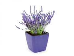 Domestico GROW YOUR LEVANDULA, darilni set s samooskrbnim loncem, FIAL 13X13 CM